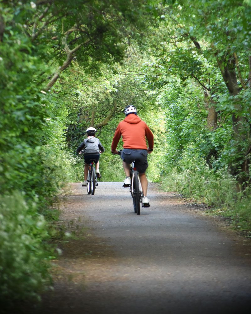 Two bicyclists on a bike path surrounded by green trees