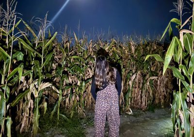 Girl with Long Brown Hair wearing Cheetah Print Overalls looking at the Moon in a Corn Maze