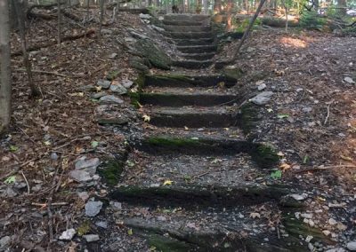 Stone Stairs on a Hiking Trail on Aldis Hill in St. Albans