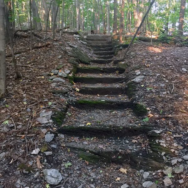 Stone Stairs on a Hiking Trail on Aldis Hill in St. Albans