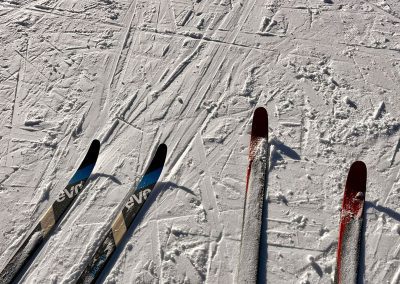 View of the tops of cross country skis in the snow