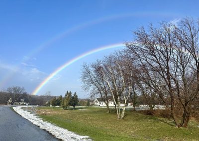 Double rainbow behind trees