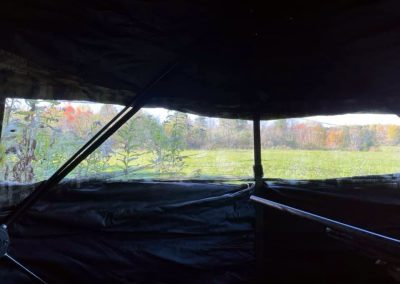 View from a Hunting Blind