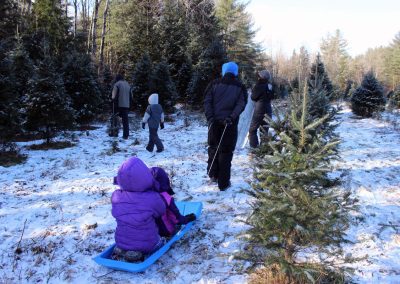Family Looking for a Christmas Tree in Bakersfield