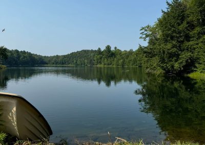 View of a Body of Water with Trees