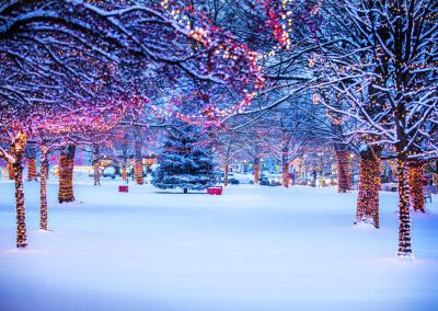 Christmas in Taylor Park - trees are all lit up and a layer of untouched snow