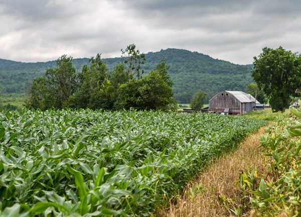 Green field with a rustic barn and hills in the background