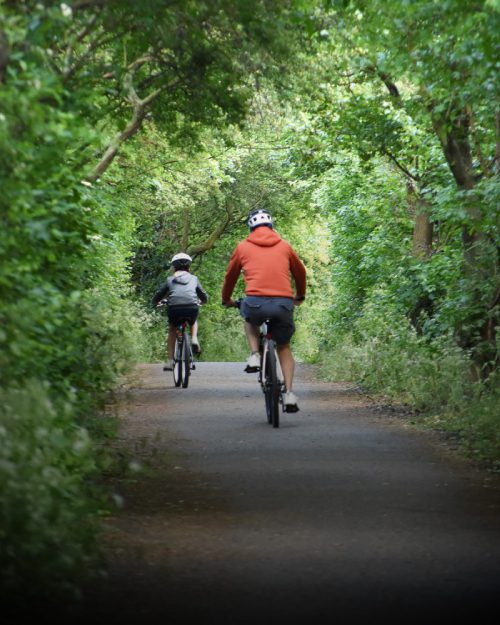 A man in orange and a child riding bikes on a bike path surrounded by greenery